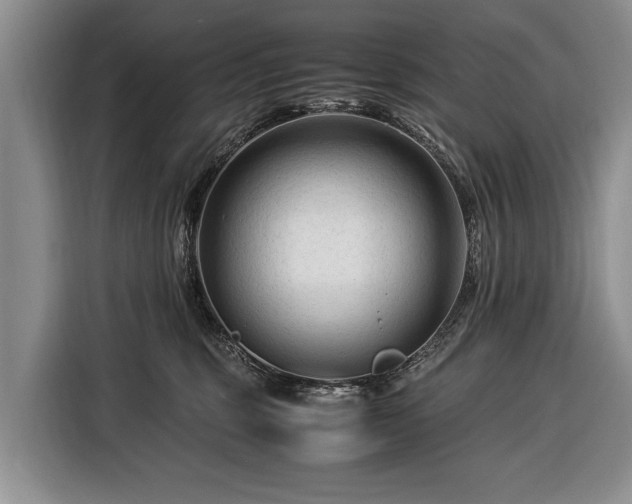 X0000116370375200912091243