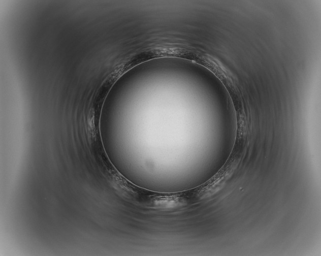 X0000116370377200912091243