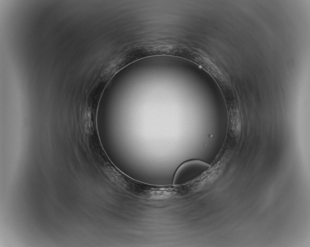 X0000116370378200912091243