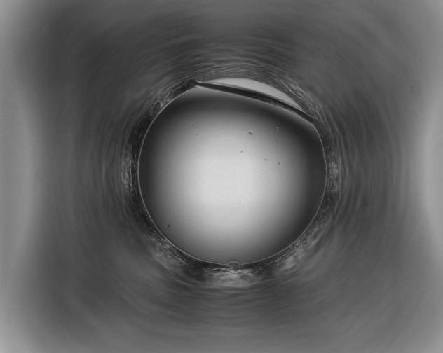 X0000116370379200912091243