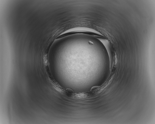 X0000116370383200912091243