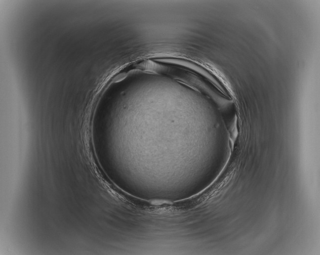 X0000116370385200912091242