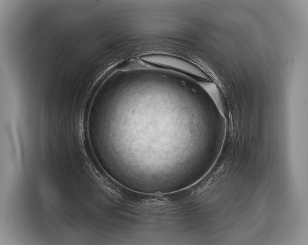 X0000116370386200912091242