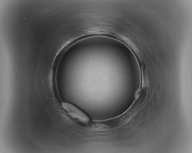 X0000116370387200912091242