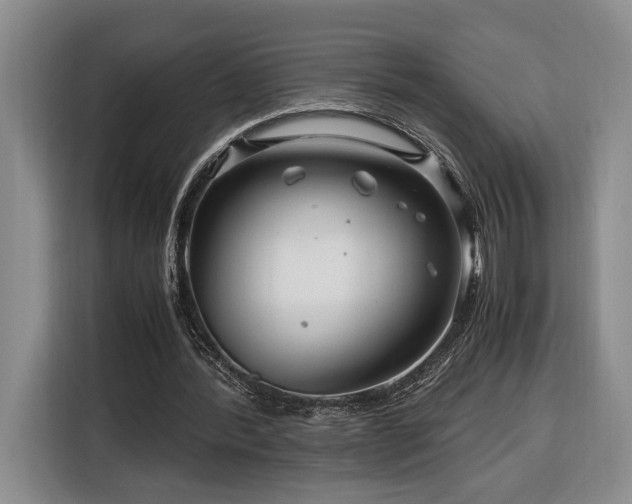 X0000116370388200912091242