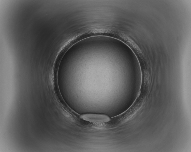 X0000116370391200912091242