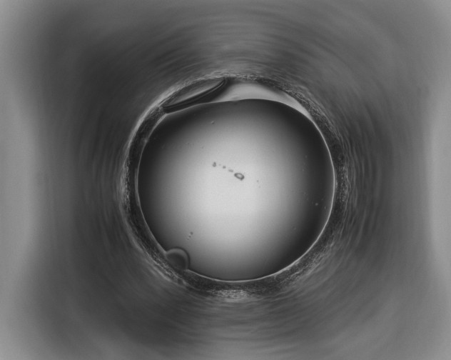 X0000116370392200912091242