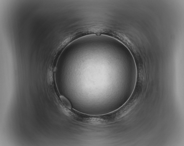 X0000116370393200912091242