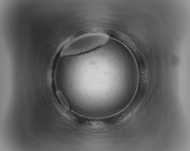 X0000116370395200912091242