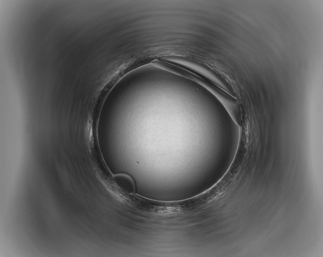 X0000116370398200912091242