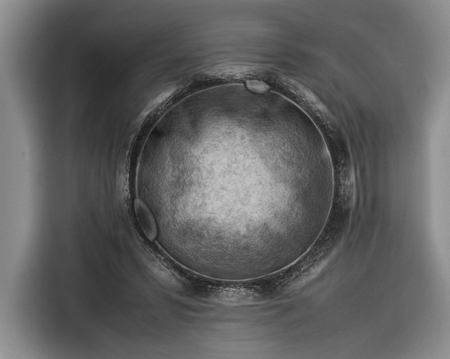 X0000116370399200912091242