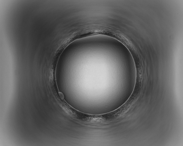 X0000116370401200912091242