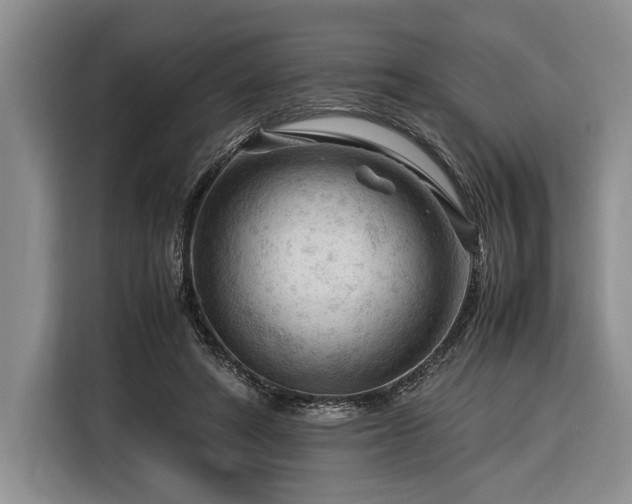 X0000116370402200912091242