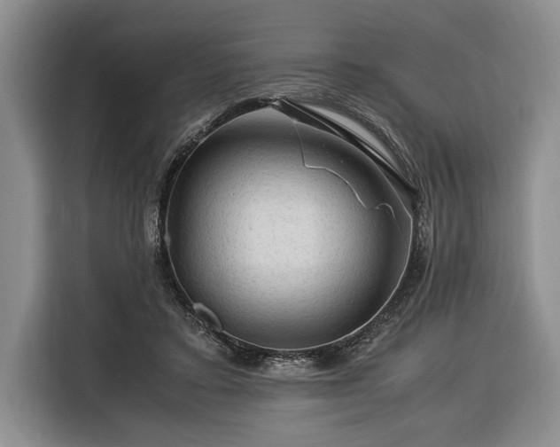 X0000116370403200912091242