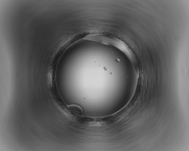 X0000116370404200912091242