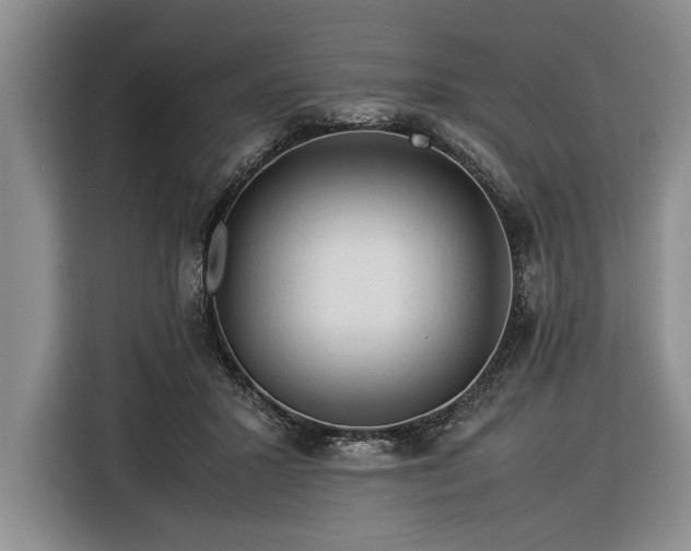 X0000116370407200912091242