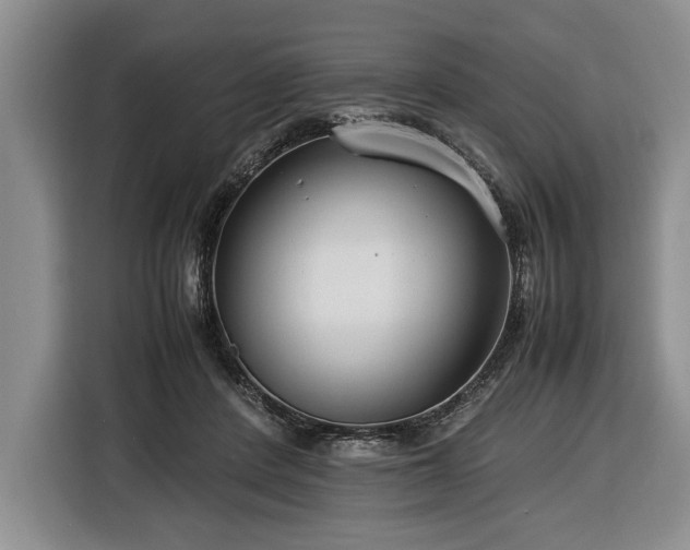 X0000116370408200912091242