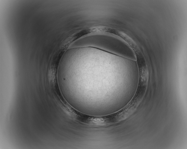 X0000116370409200912091242