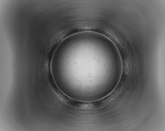 X0000116370410200912091242