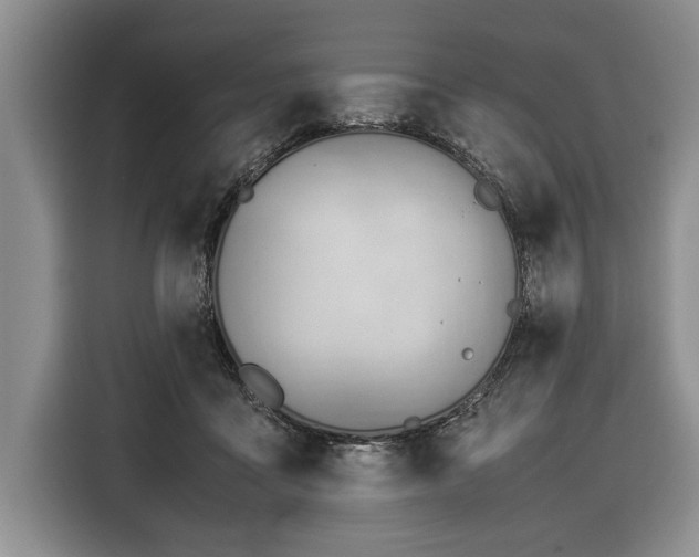 X0000116370411200912091242