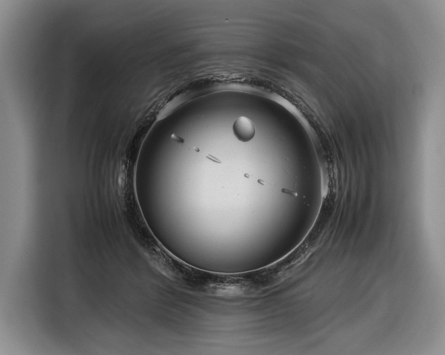 X0000116370412200912091242