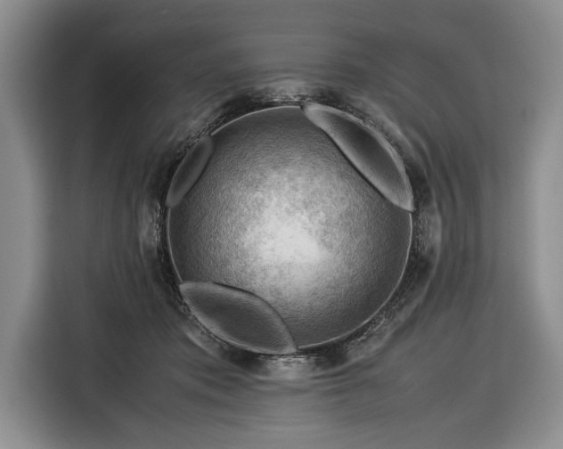 X0000116370413200912091242