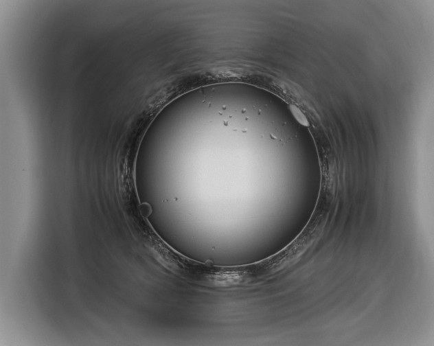 X0000116370418200912091242