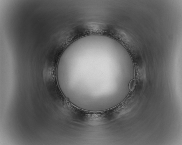 X0000116370419200912091242