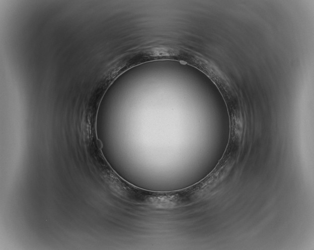 X0000116370422200912091242