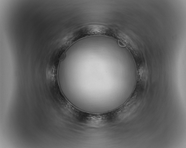 X0000116370423200912091241