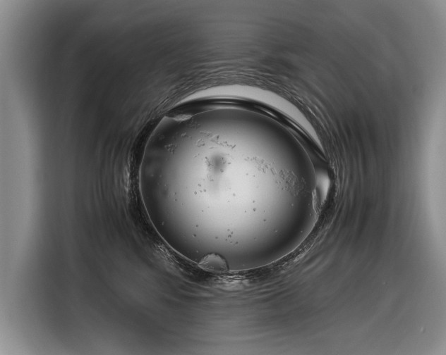 X0000116370424200912091241