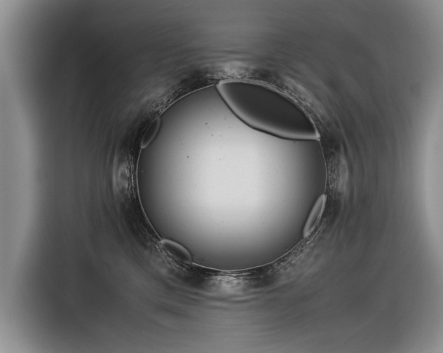 X0000116370425200912091241