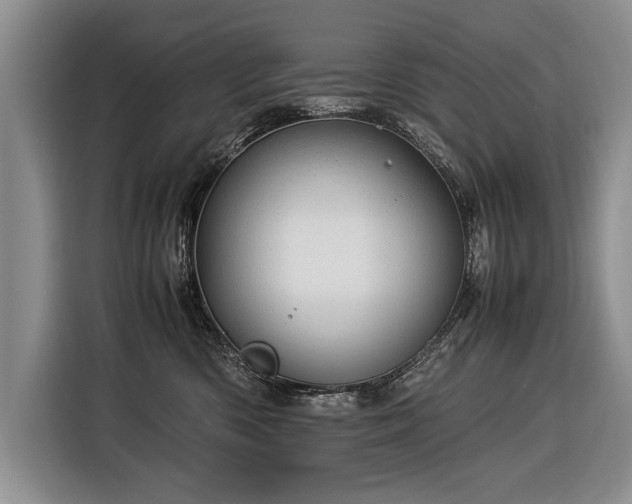 X0000116370426200912091241