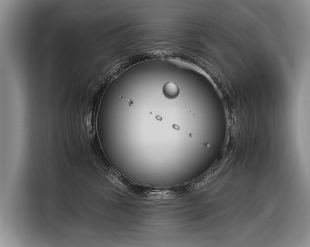 X0000116370428200912091241