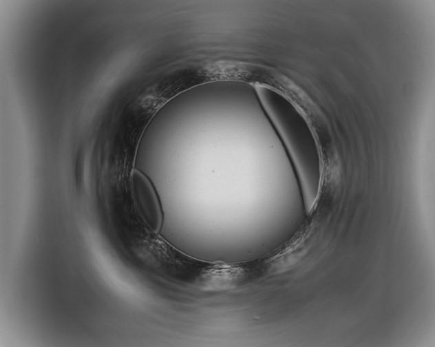 X0000116370429200912091241