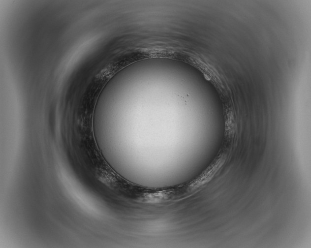 X0000116370430200912091241