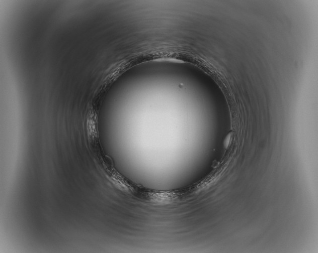 X0000116370432200912091241