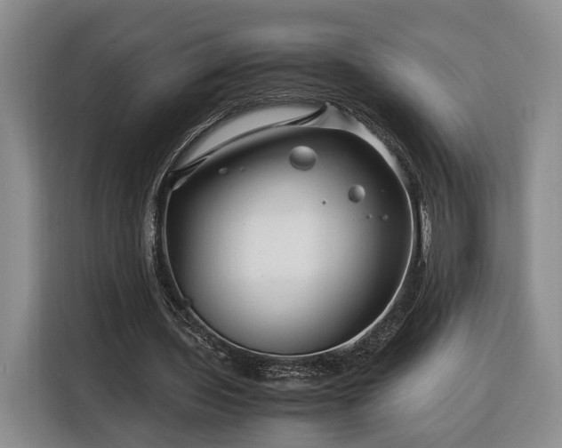 X0000116370435200912091241