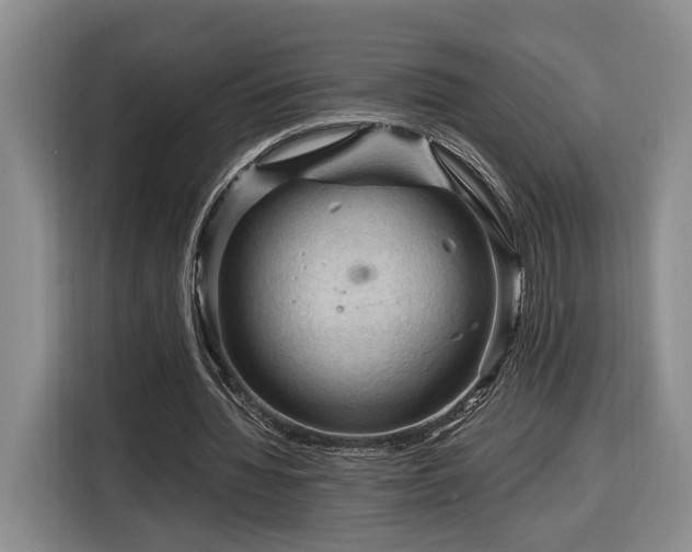 X0000116370436200912091241