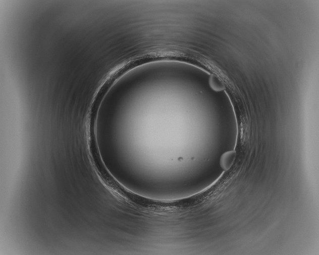 X0000116370438200912091241