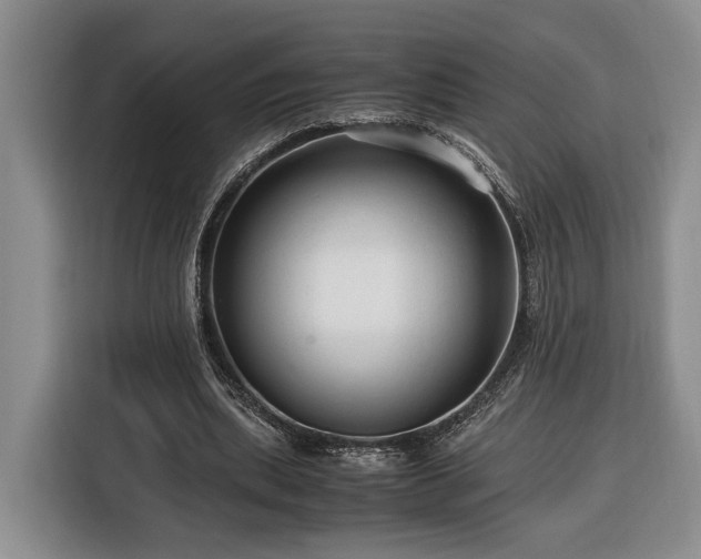 X0000116370439200912091241