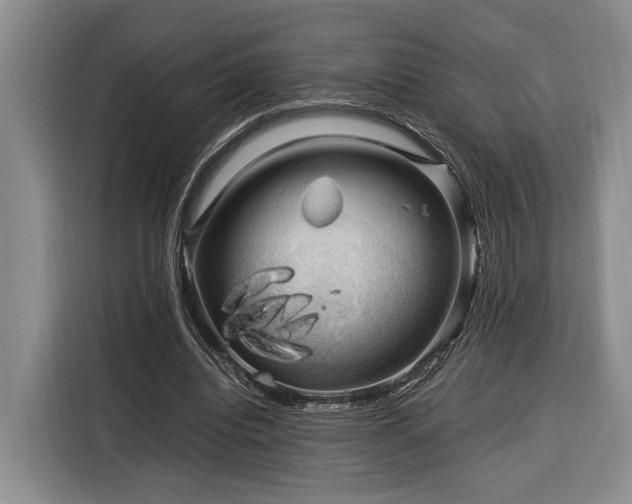 X0000116370440200912091241