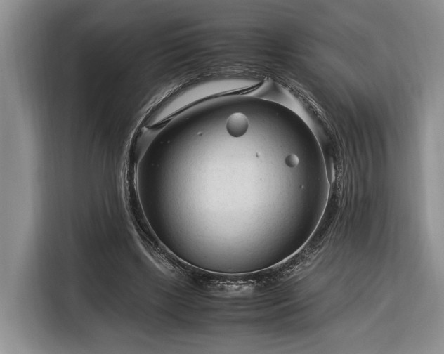 X0000116370443200912091241