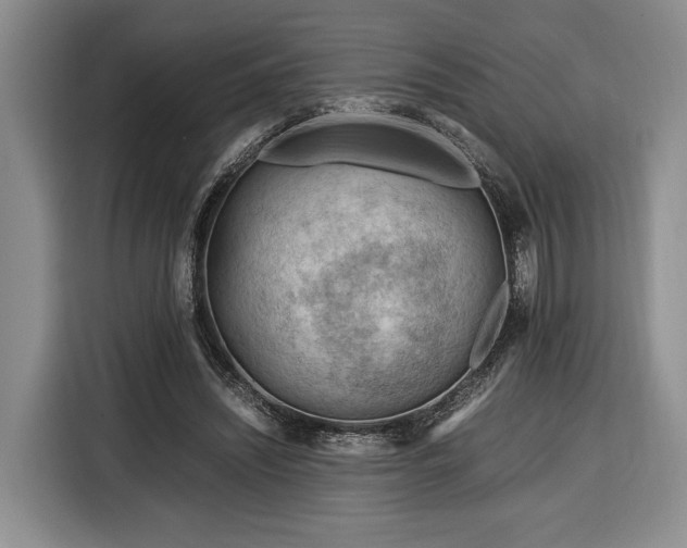 X0000116370444200912091241