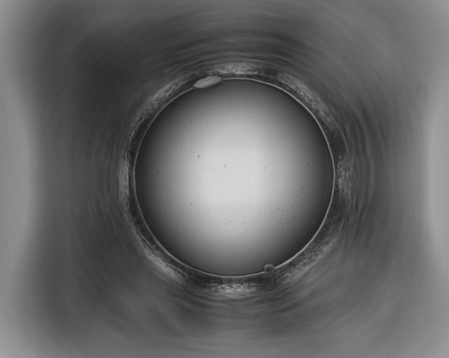 X0000116370445200912091241