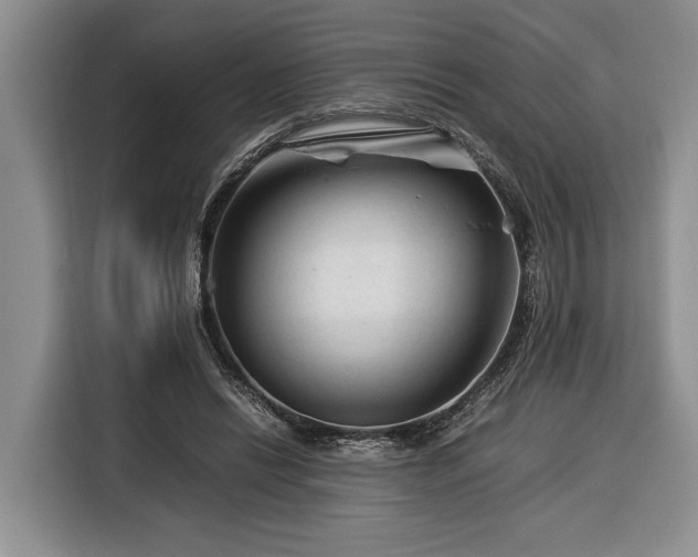 X0000116370446200912091241