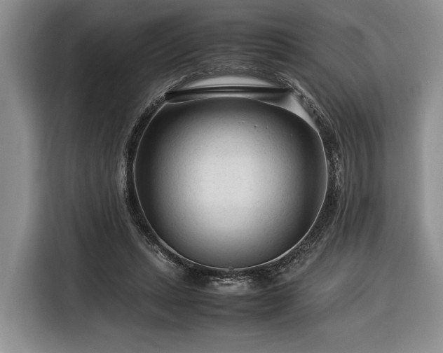 X0000116370447200912091241