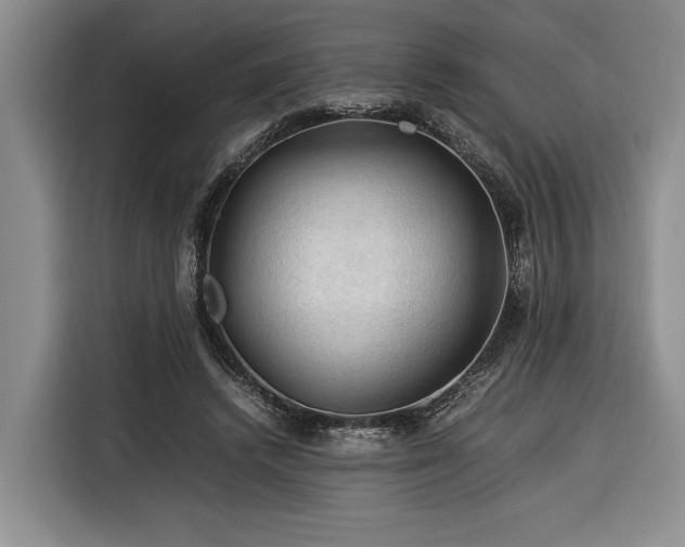 X0000116370448200912091241