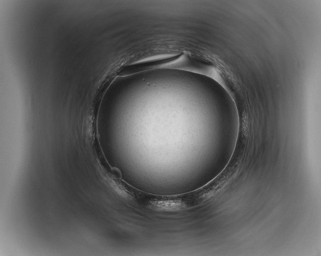 X0000116370449200912091241