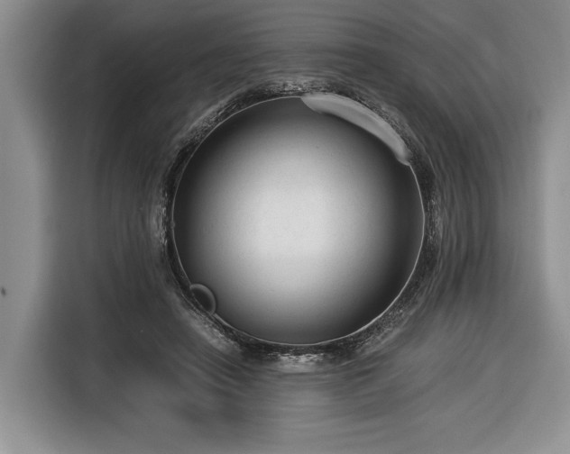 X0000116370450200912091241